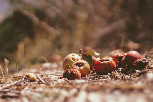 Representational Image, Courtesy: Johsua Hoehne/ Unsplash