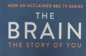 The Brain: The Story Of You by David Eagleman ( Cropped Image of the Book Cover designed by Blink Entertainment)