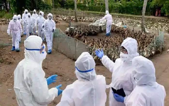 A team of health experts visiting a Bird Flu affected area in Kerala (File Photo, Image credit: Mint)